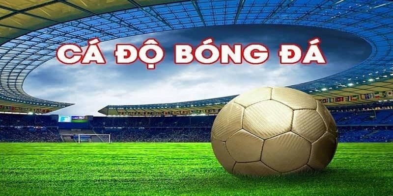 Điểm danh những môn thể thao nổi bật tại OK365